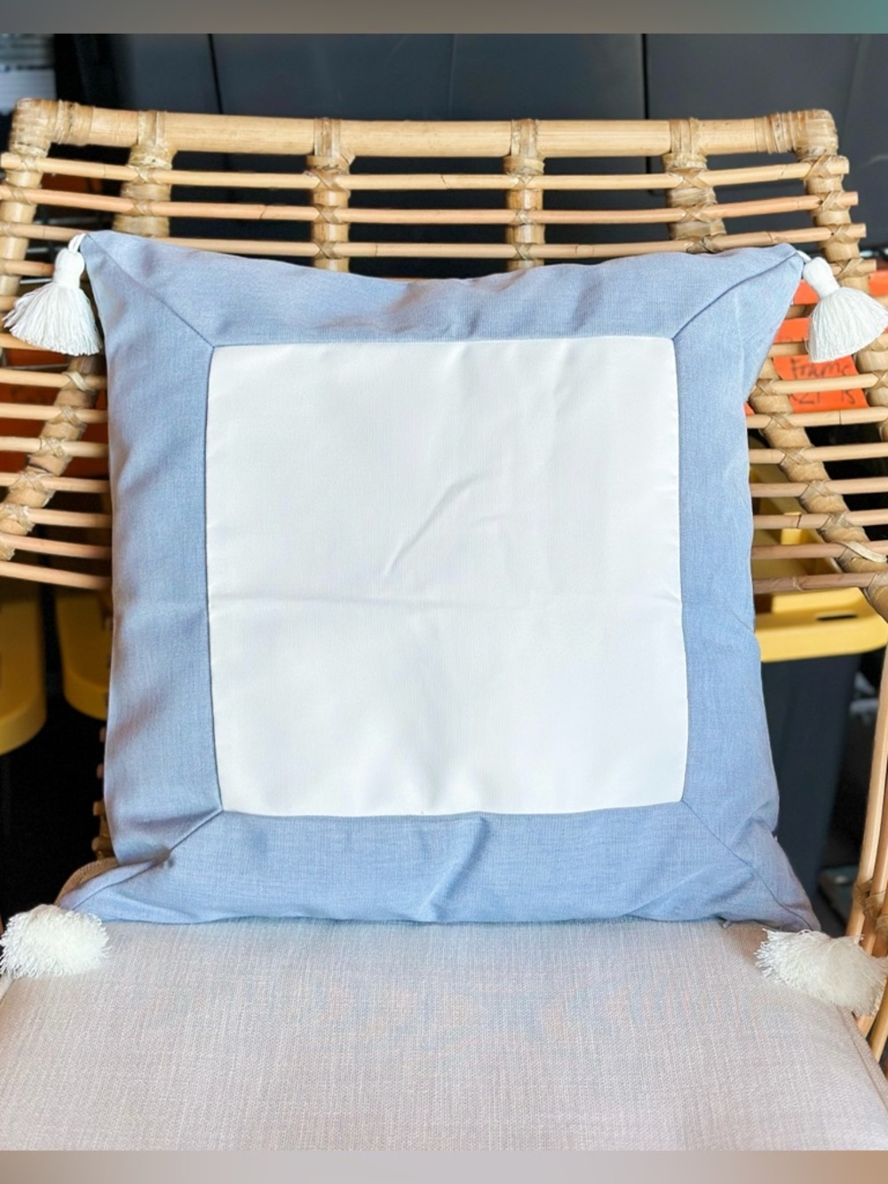 NEW Serena & Lily Sunbrella Border Frame Pillow Cover (20” SQ)-Coastal Blue
